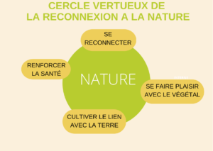 cercle vertueux reconnexion à la nature